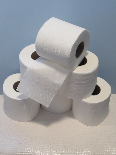 Stack of toilet rolls artfully arranged